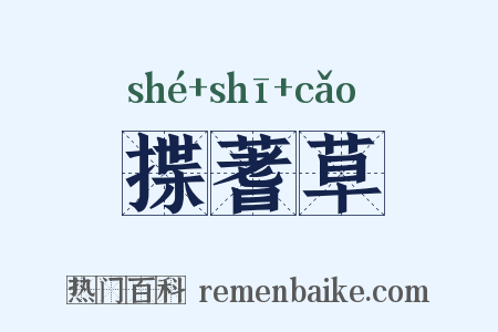 揲蓍草是什么意思的图片